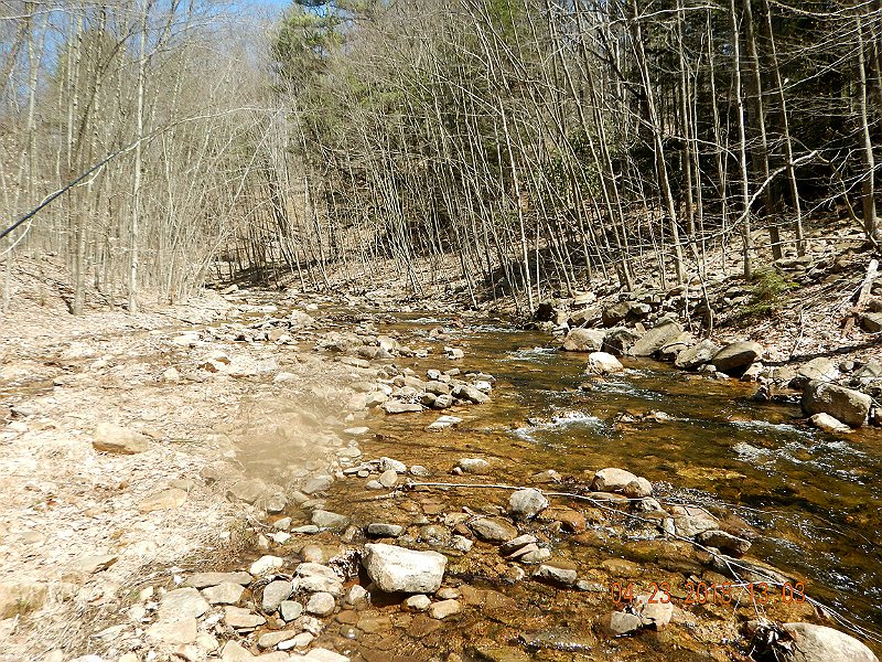 DSCN3081.jpg