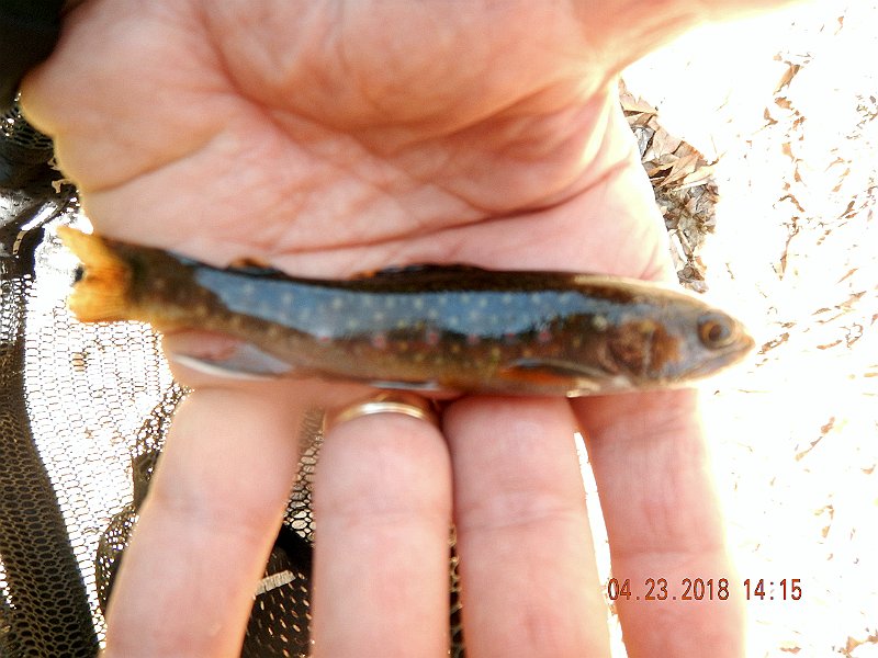 DSCN3085.jpg