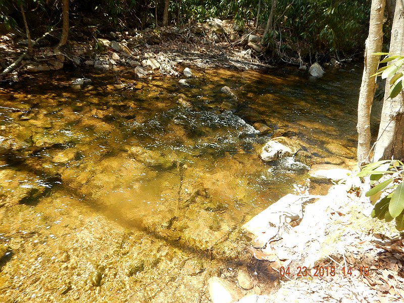 DSCN3086.jpg