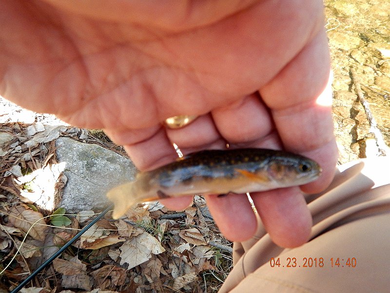 DSCN3087.jpg