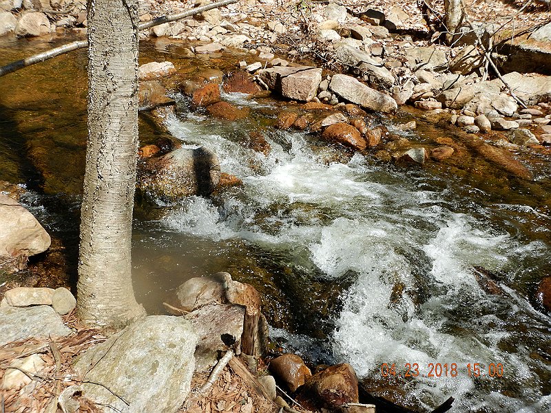 DSCN3090.jpg
