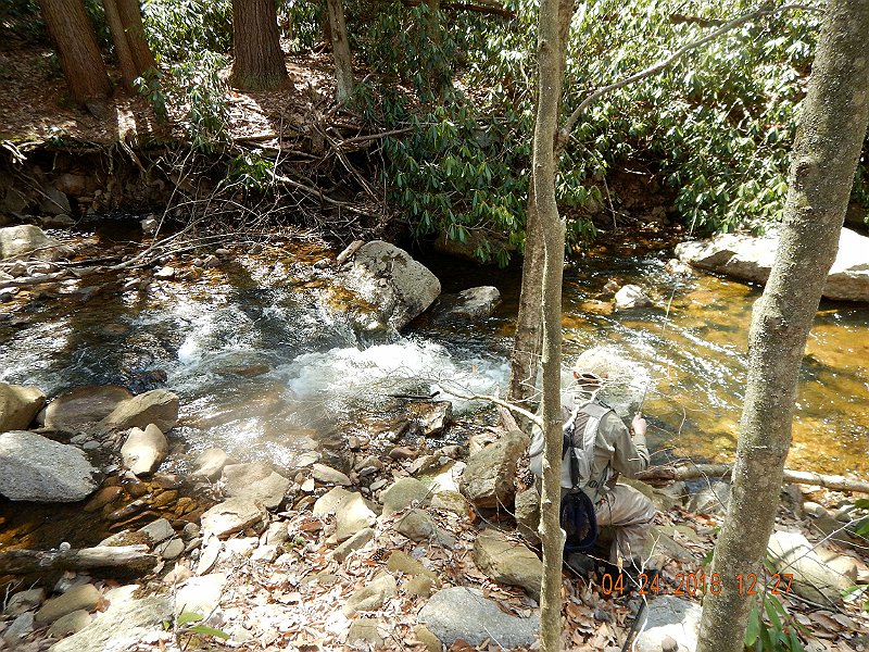 DSCN3093.jpg