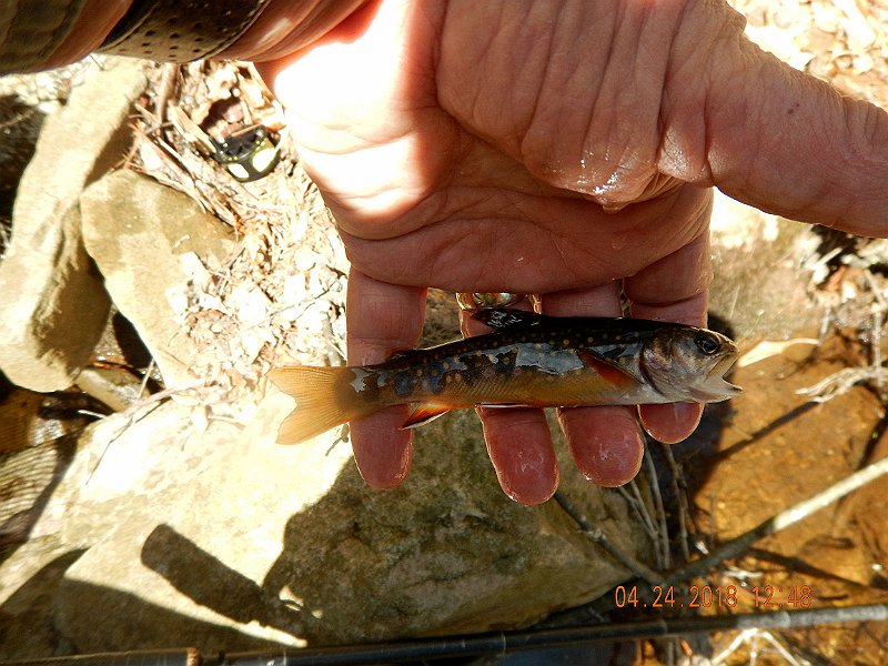 DSCN3095.jpg