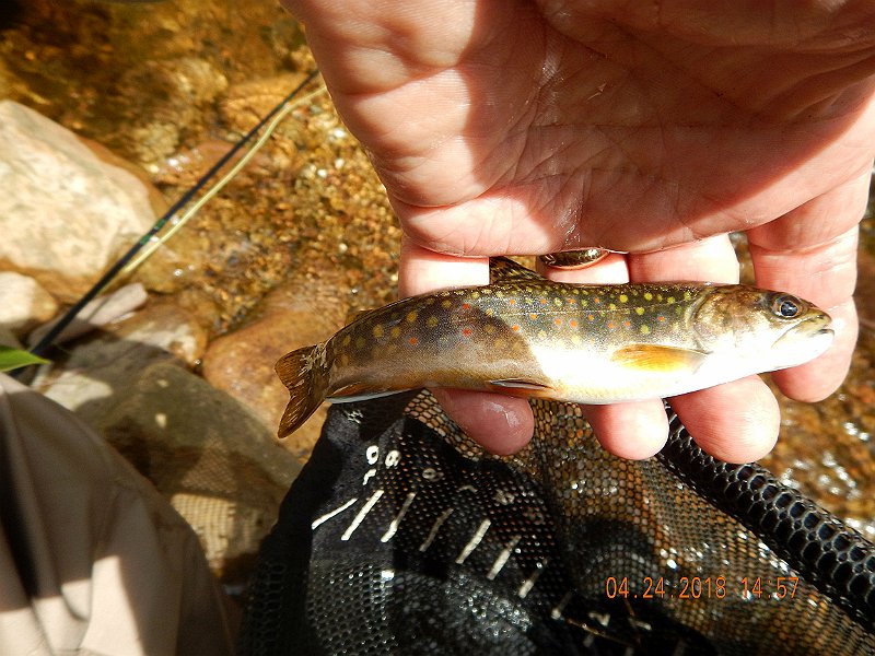 DSCN3113.jpg