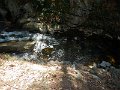 DSCN1726