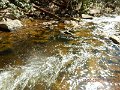 DSCN3062