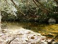 DSCN3077