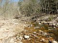 DSCN3081