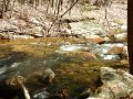 DSCN3084