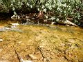 DSCN3088