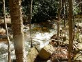 DSCN3091