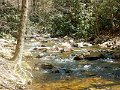 DSCN3100