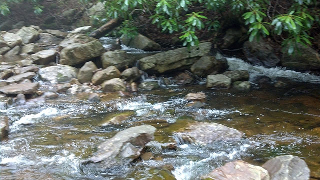 IMG_20130511_101134_357.jpg
