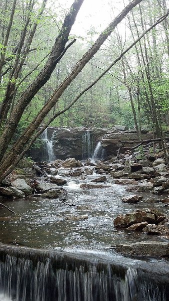 IMG_20130511_114733_920.jpg