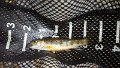 IMG_20130511_093204_357