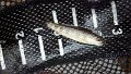 IMG_20130511_131711_882