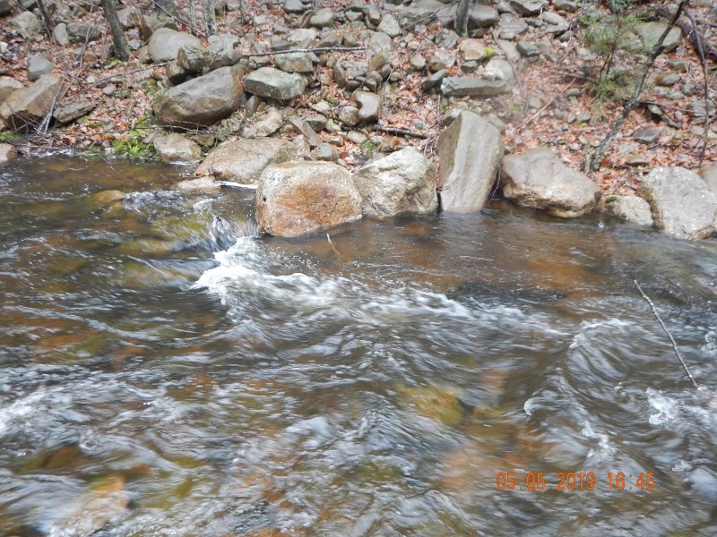 DSCN4156.JPG