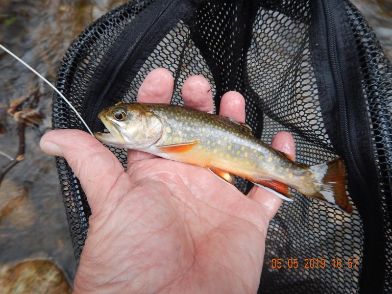 DSCN4159.JPG