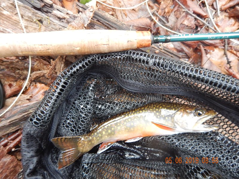 DSCN4167.JPG