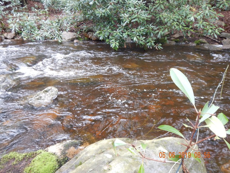 DSCN4169.JPG