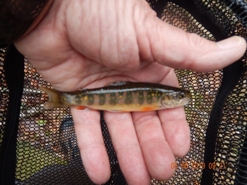 DSCN4170.JPG
