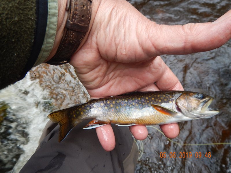 DSCN4173.JPG
