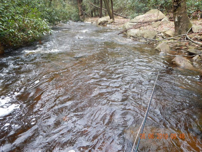 DSCN4174.JPG
