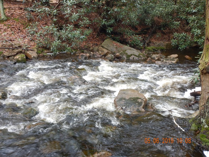 DSCN4175.JPG