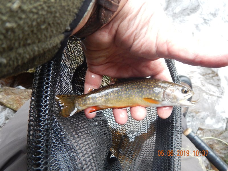 DSCN4178.JPG