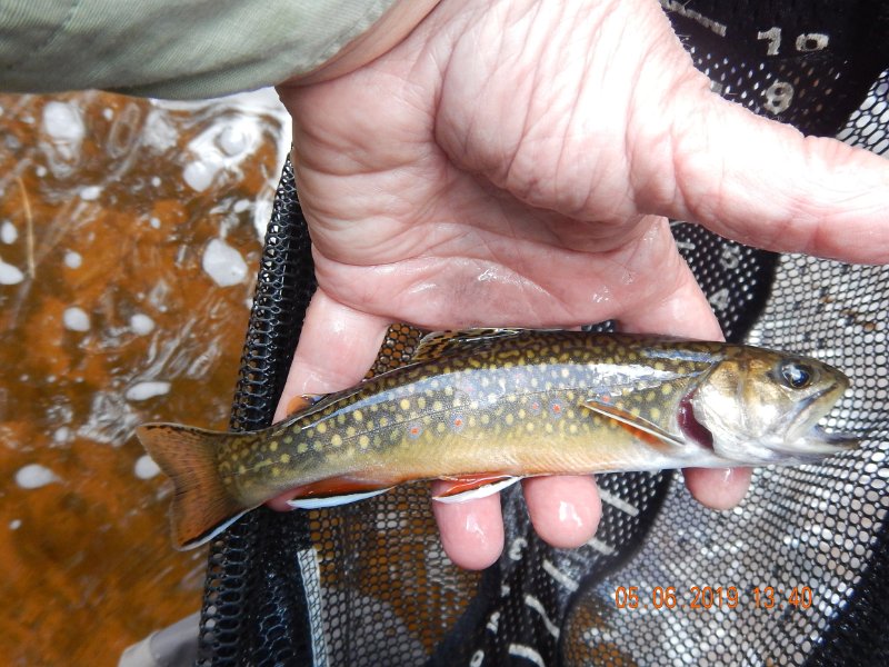 DSCN4184.JPG