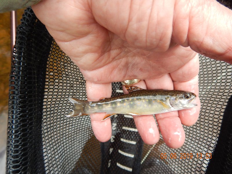 DSCN4186.JPG