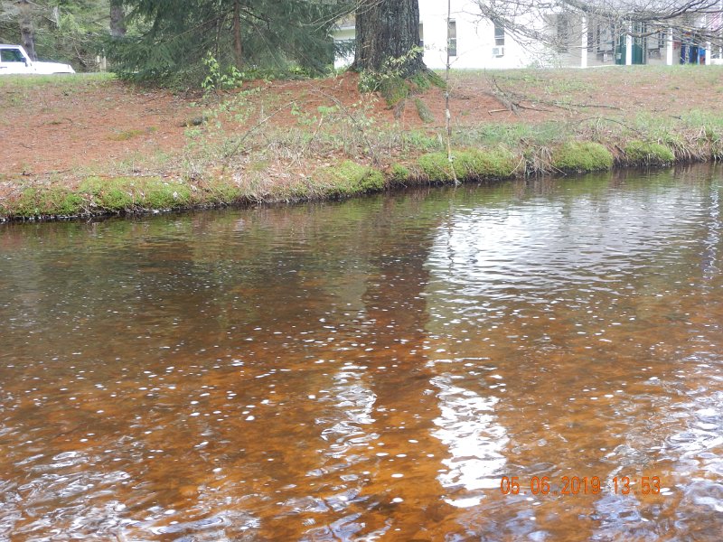 DSCN4187.JPG