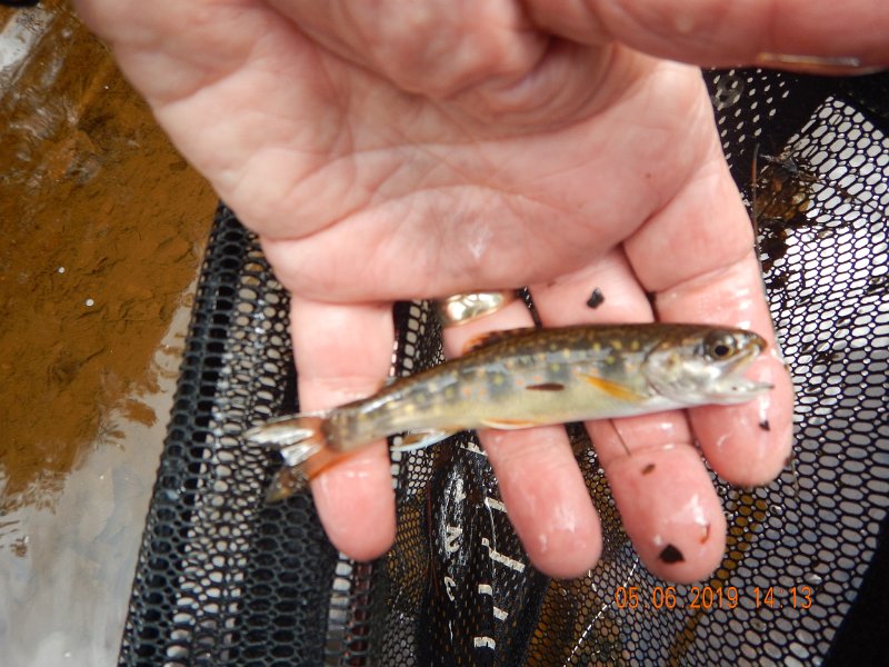 DSCN4189.JPG