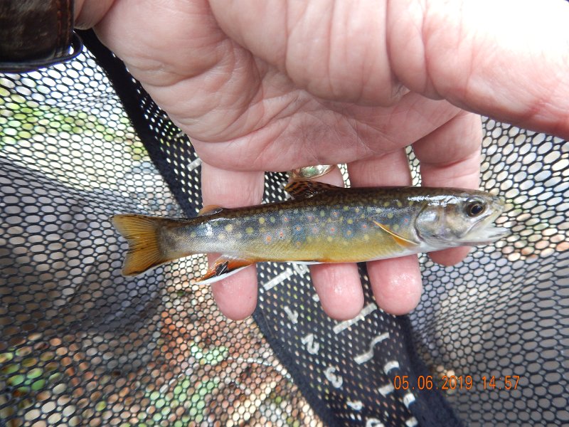 DSCN4190.JPG