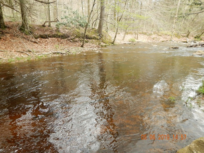 DSCN4192.JPG