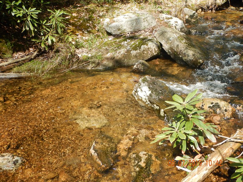 DSCN4194.JPG