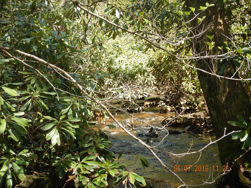 DSCN4195.JPG