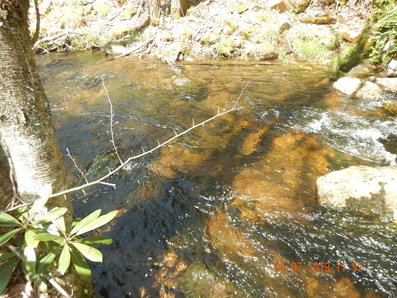 DSCN4197.JPG
