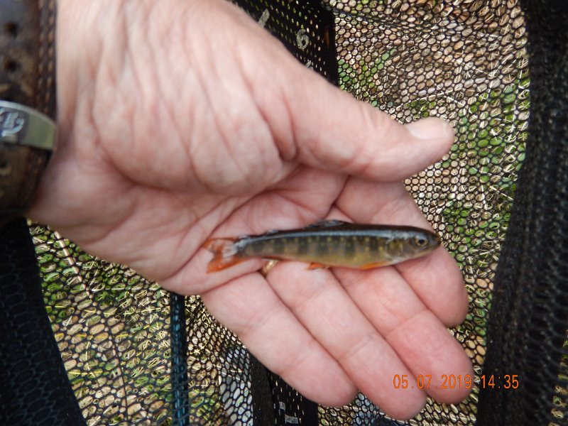 DSCN4205.JPG