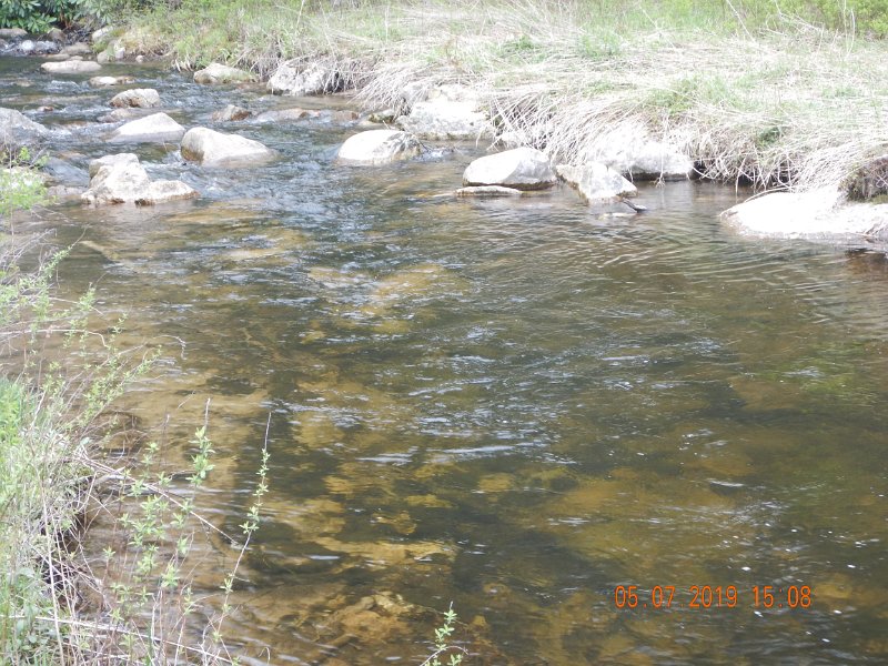 DSCN4209.JPG