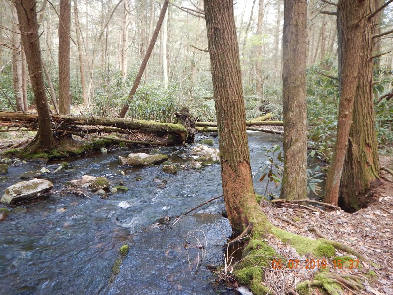 DSCN4213.JPG