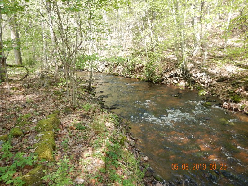 DSCN4218.JPG