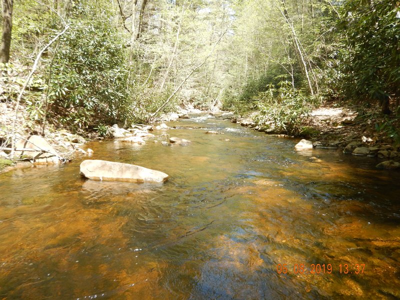DSCN4229.JPG