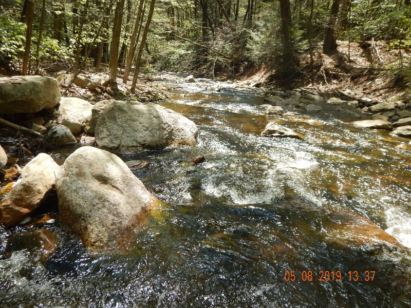 DSCN4230.JPG