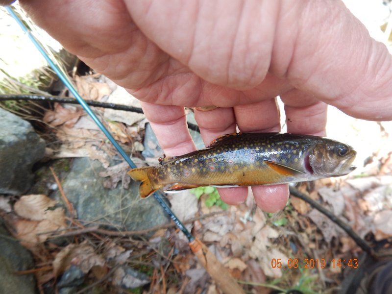 DSCN4233.JPG