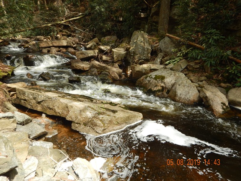 DSCN4234.JPG - The following fish was caught in the pool at the bottom right of the pic.