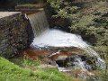 DSCN4162