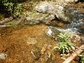 DSCN4194