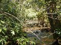 DSCN4195