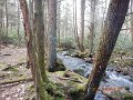 DSCN4212